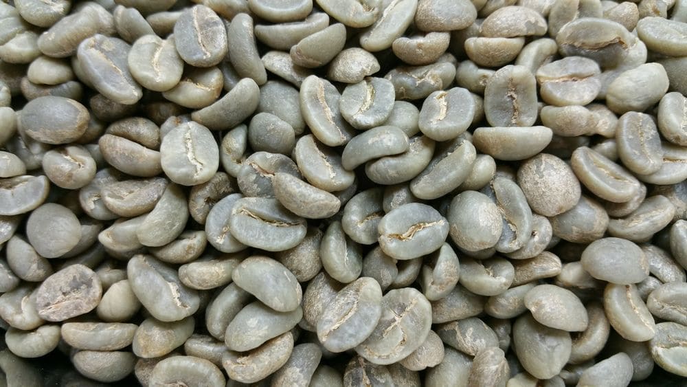 �R�[�q�[����