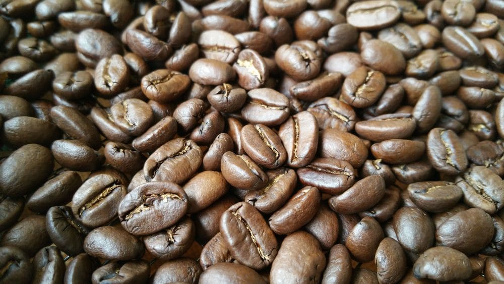 �R�[�q�[������